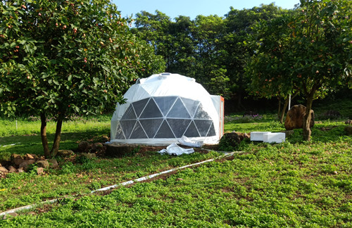 eco domes